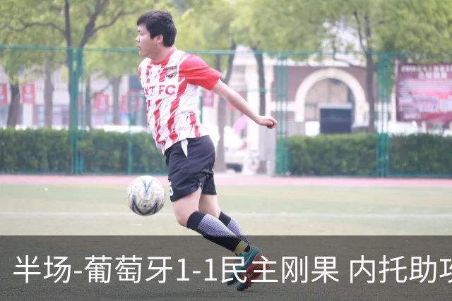 半场-葡萄牙1-1民主刚果 内托助攻若昂·内维斯破门维萨补时扳平
