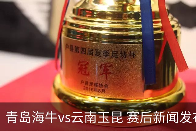 青岛海牛vs云南玉昆 赛后新闻发布会